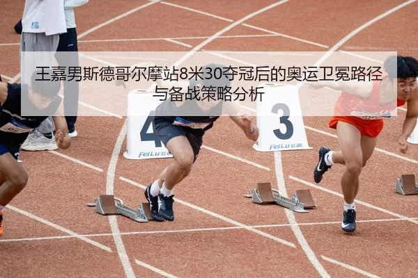 wang-jia-nan-si-de-ge-er-mo-zhan-mi-duo-guan-hou-de-ao-yun-wei-mian-lu-jing-yu-bei-zhan-ce-lve-fen-xi-2-483.jpg