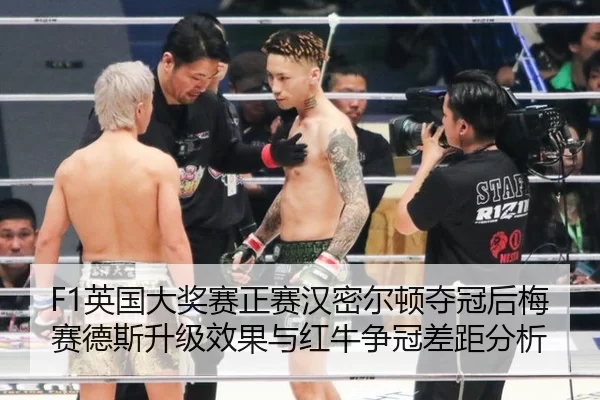 ying-guo-da-jiang-sai-zheng-sai-han-mi-er-dun-duo-guan-hou-mei-sai-de-si-sheng-ji-xiao-guo-yu-hong-niu-zheng-guan-cha-2-386.jpg