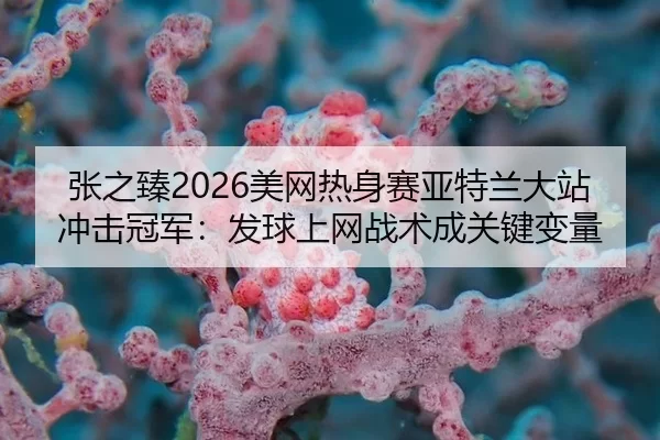 zhang-zhi-zhen-mei-wang-re-shen-sai-ya-te-lan-da-zhan-chong-ji-guan-jun-fa-qiu-shang-wang-zhan-shu-cheng-guan-jian-bian-3-598.jpg